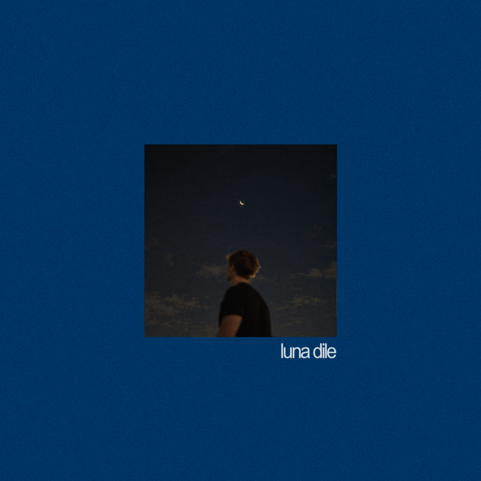Portada de Luna dile